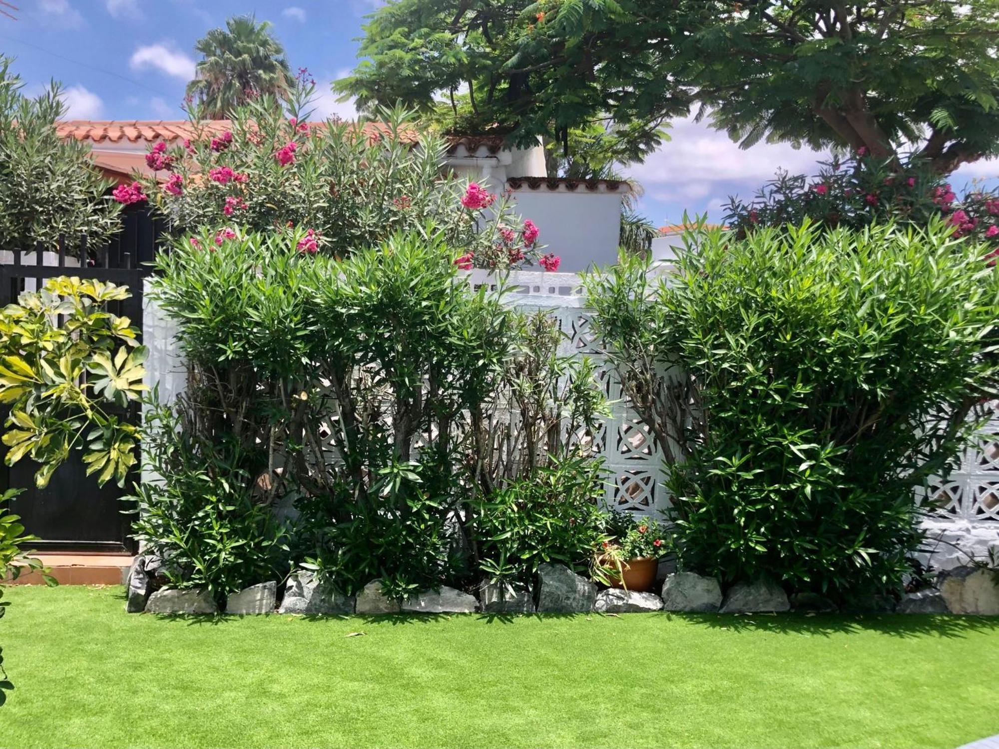 Santa Clara Bungalows Maspalomas  Dış mekan fotoğraf